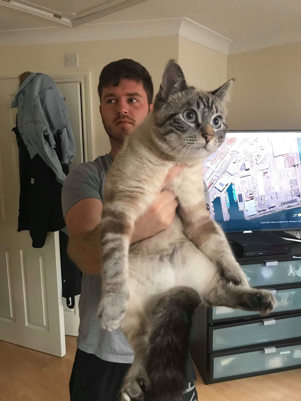 Angles make it look like Im holding a giant cat