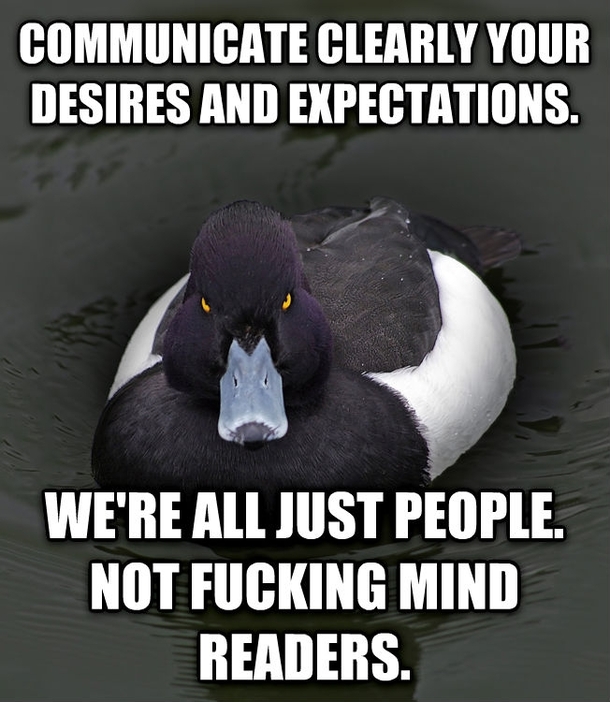 Angry Advice Mallard