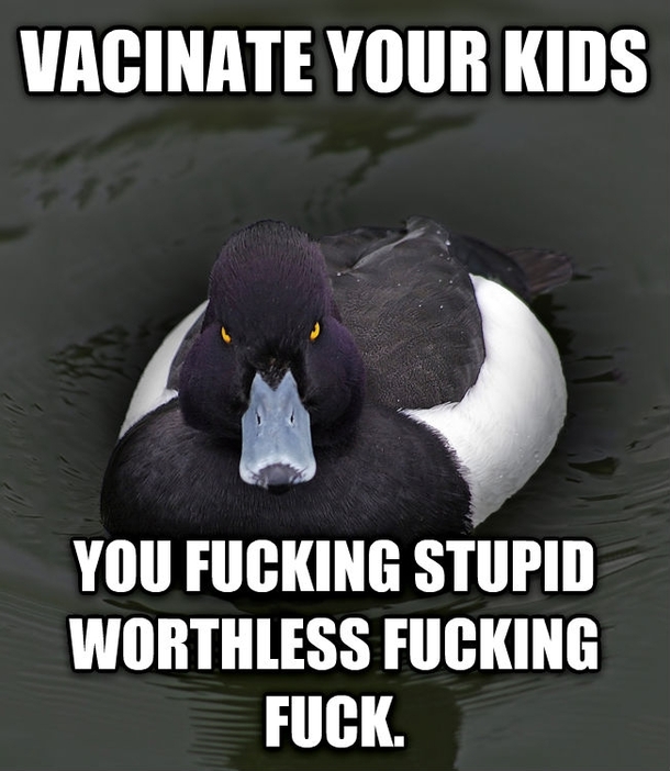 Angry Advice Mallard on Vacinations