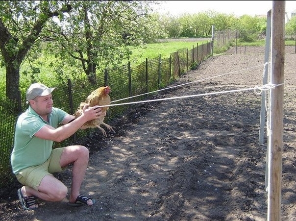 Angry Birds Russian Edition