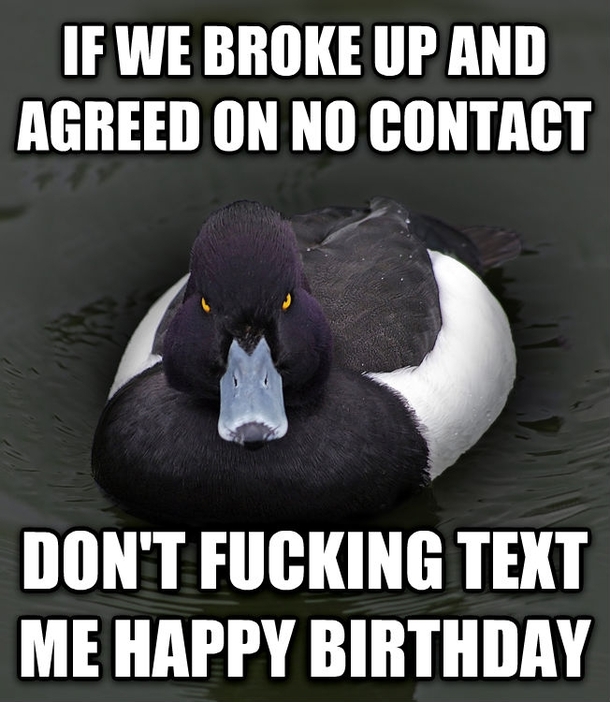 Angry Birthday Mallard