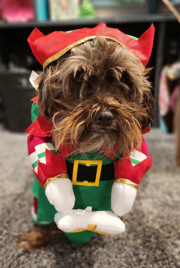 Angry Elf