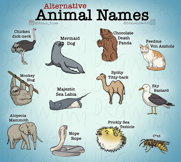 Animal names - Meme Guy