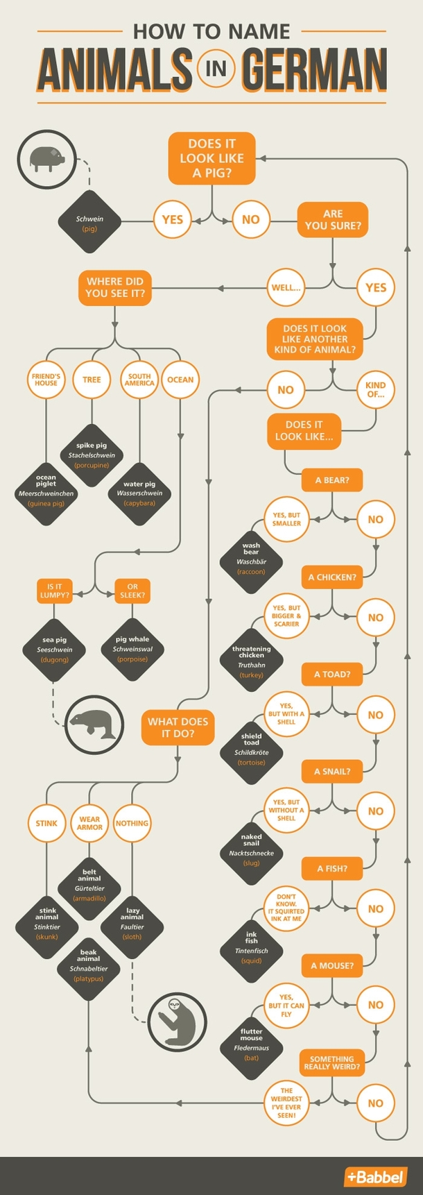 Animal Naming in German