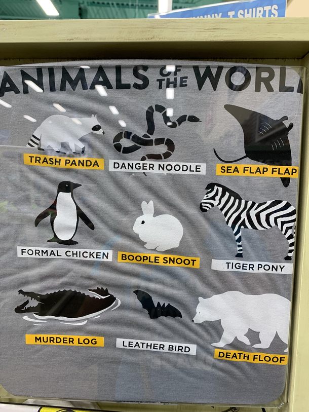 Animals of the World