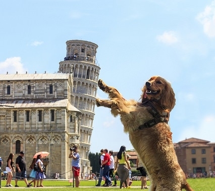 Another holding up the Leaning Tower of Pisa pic