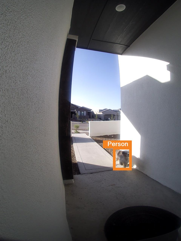 Another package thief caught on camera 