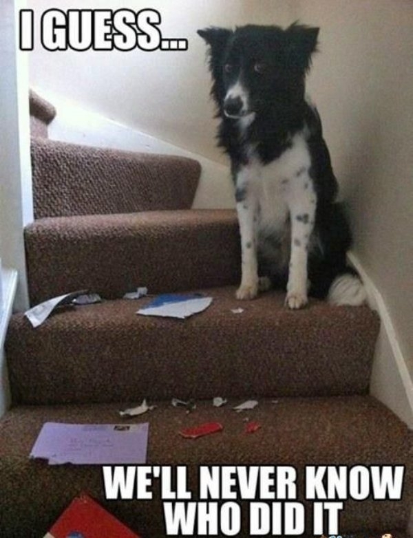 Another unsolved mystery