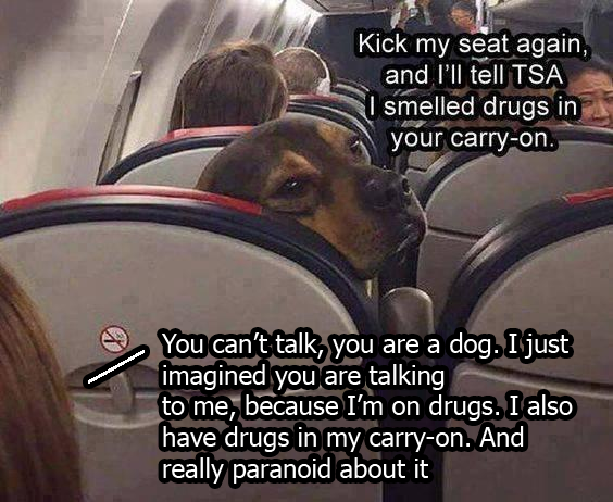 answer to the good boy