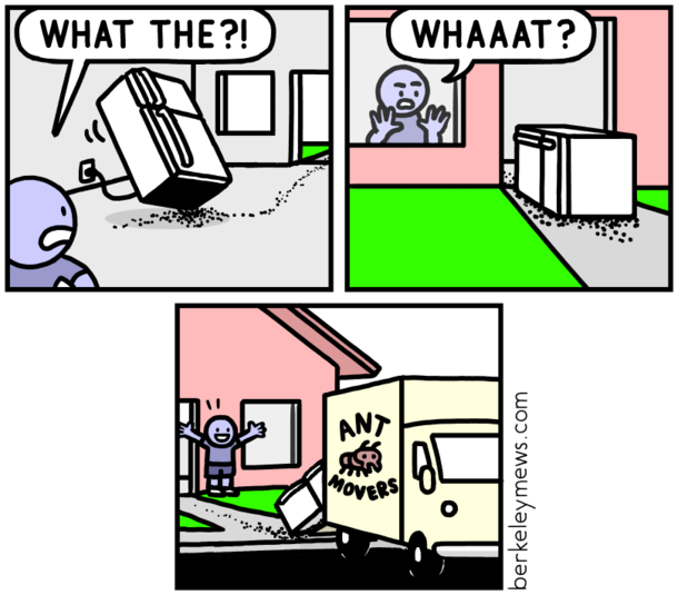 Ant Movers