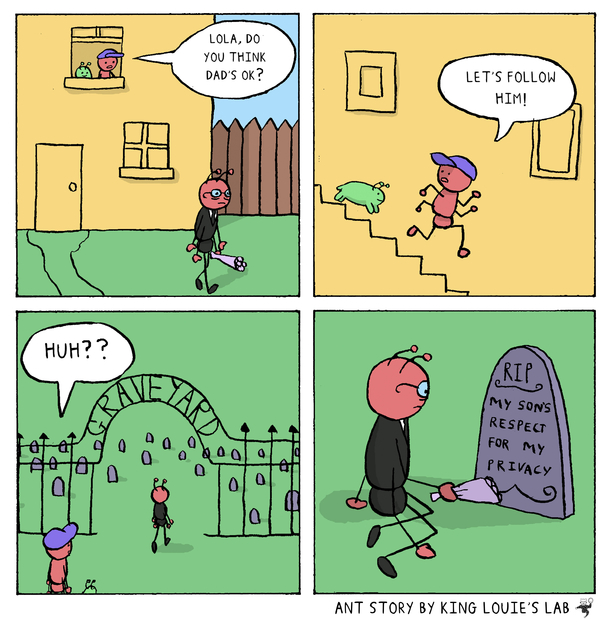 Ant Story