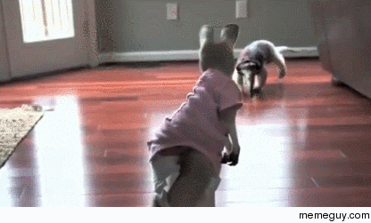 anteater wins