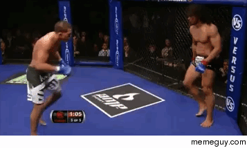 Anthony Pettis flying kick of the cage