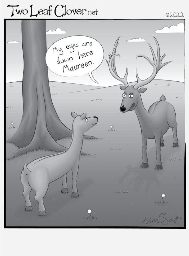 Antlers 