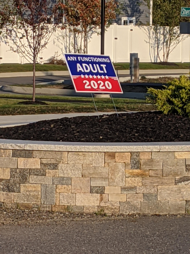 Any functioning adult 