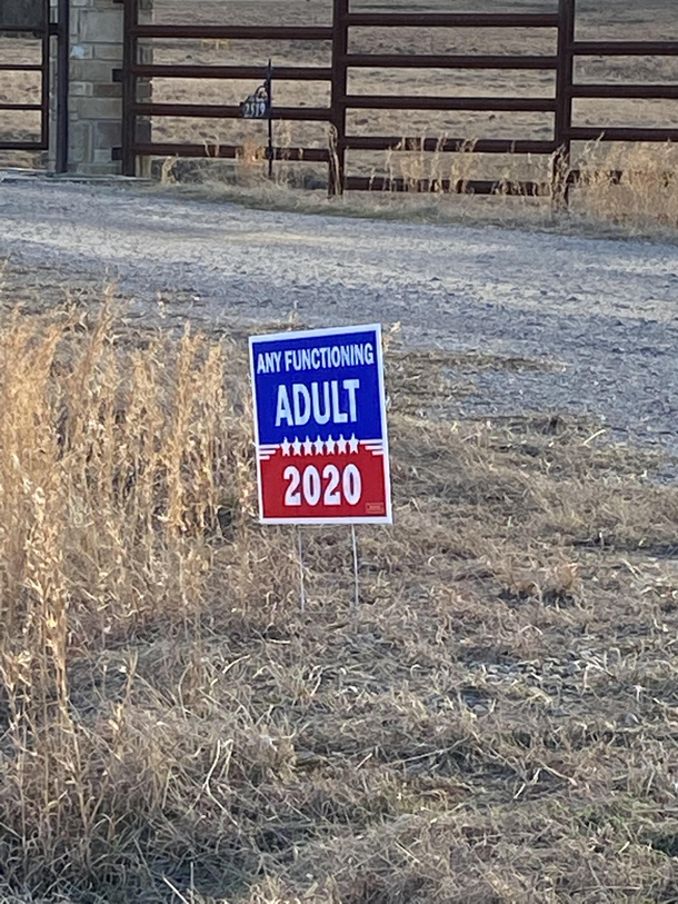 any functioning adult for 