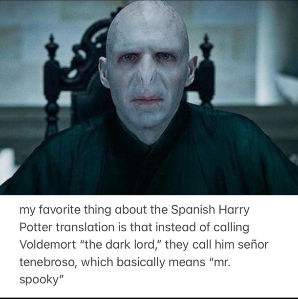 any Harry Potter fans out there