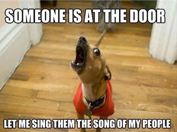 Any noise
