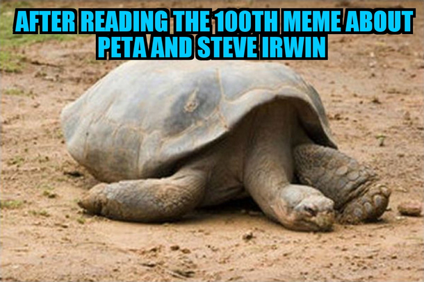 Any thing regarding PETA and Steve Irwin at this point