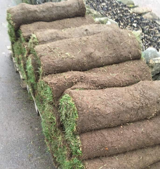 Anyone for a vegan burrito