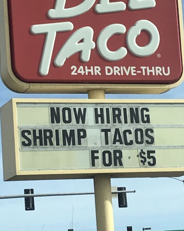 Anyone know a shrimp taco looking for work Immediate hire great benefits Forward me their resume