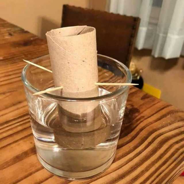 Anyone know how long this will take to grow