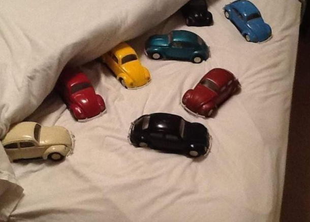 Anyone know how to get rid of bedbugs