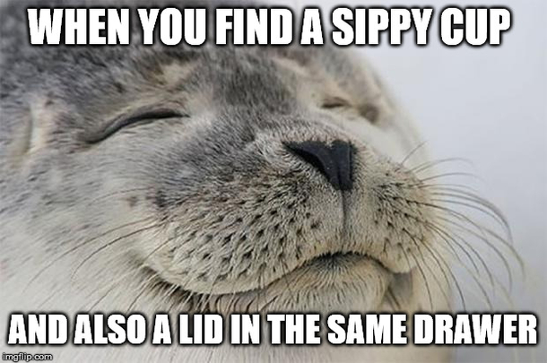 Anyone who has had toddlers will understand