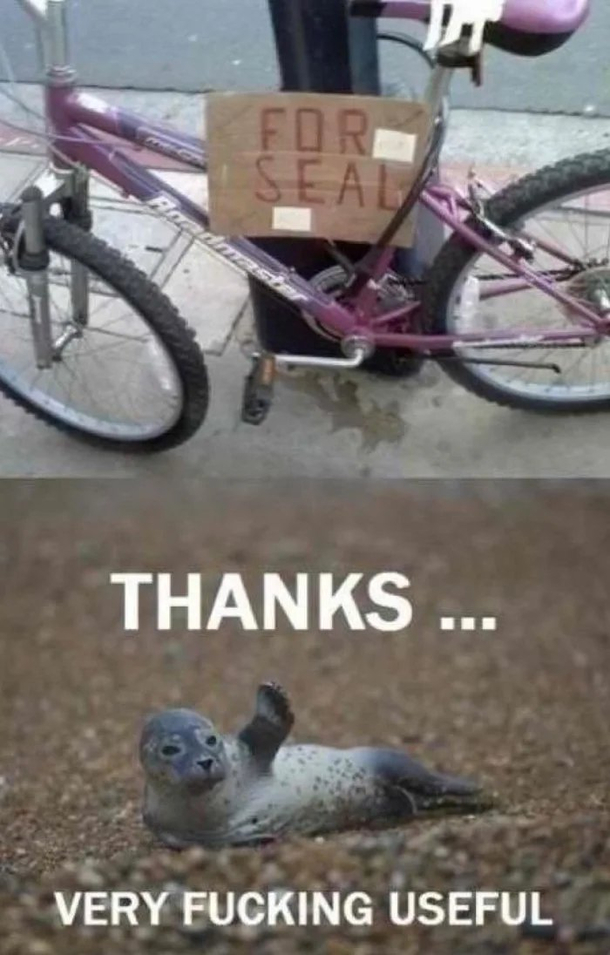 Anything else for seal