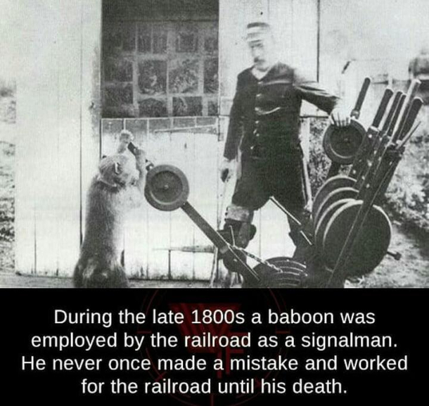 Anytime you have a bad day at work just remember