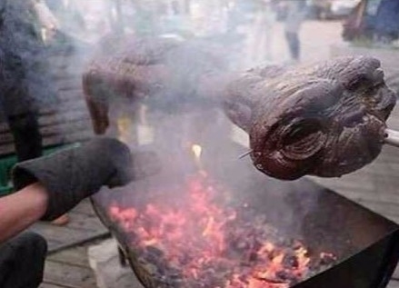 Apparently ET didnt quite make it home