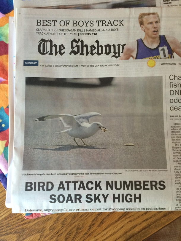 Apparently its a slow news day in Sheboygan