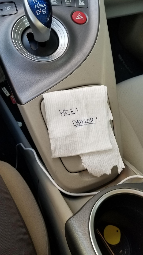 Apparently my wife trapped a bee in her cup holder