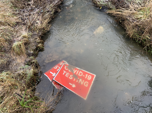 Apparently the fish are now eligible for testing
