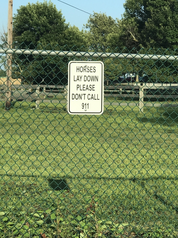 Apparently there have been calls about dead horses