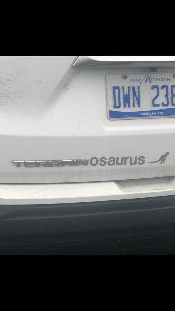 Apparently this dinosaur enthusiast works out at the same gym I do