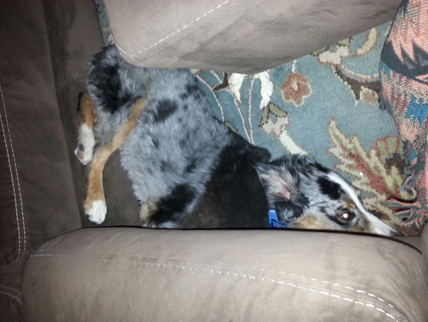 Apparently this is comfortable