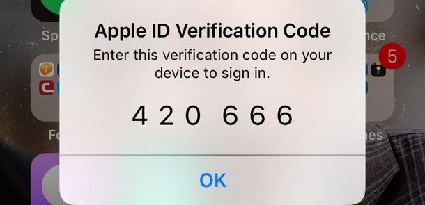 Apple gave me an interesting Verification Code