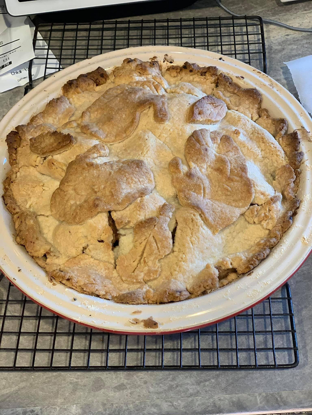 Apple pie or mitten fossils