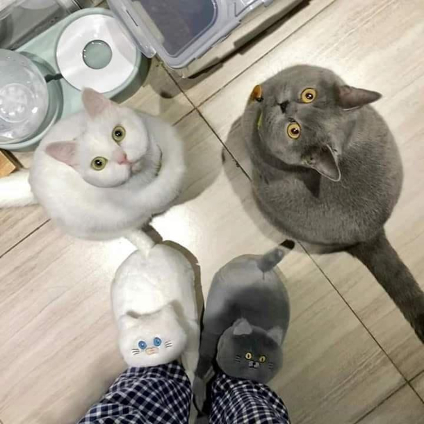 Are we a joke to you