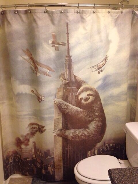 Are we doing shower curtains today Because I also got a new one that Im pretty excited over