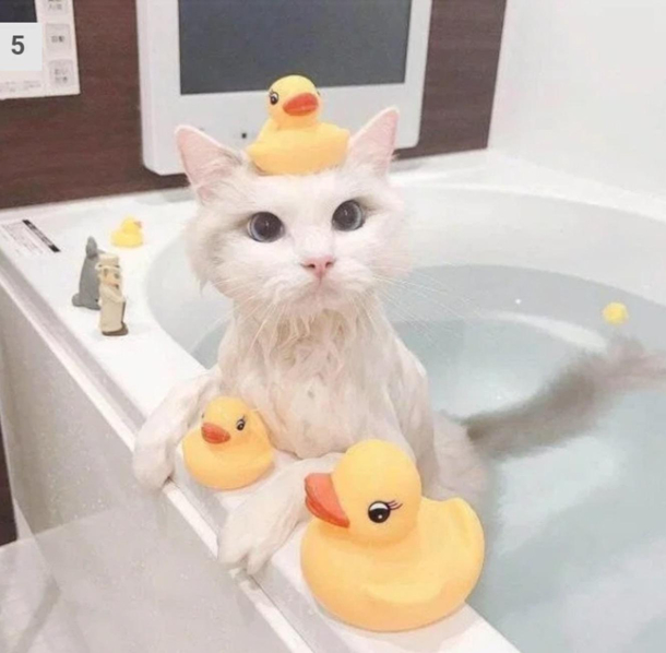 Are you done getting your freaking internet points Karen