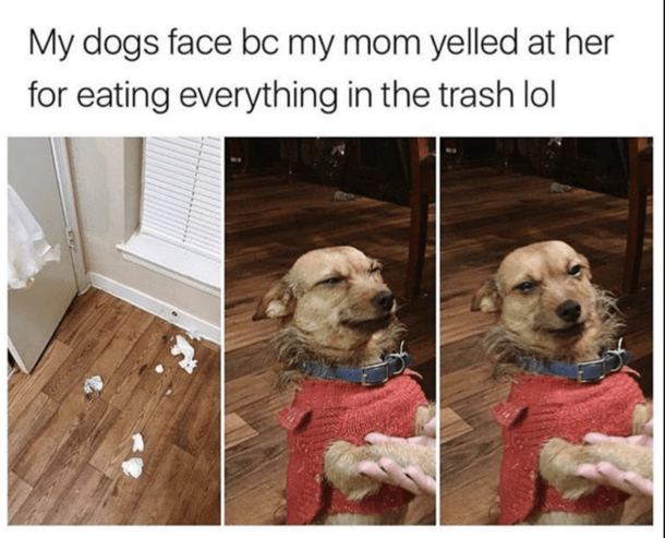 Are you going to cry