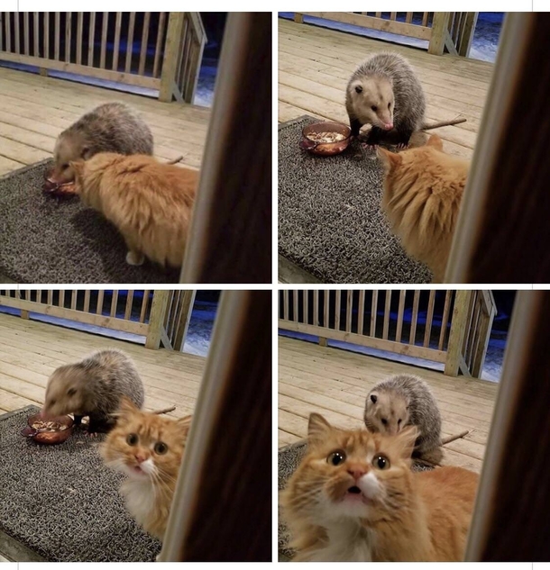 Are you going to do something about this