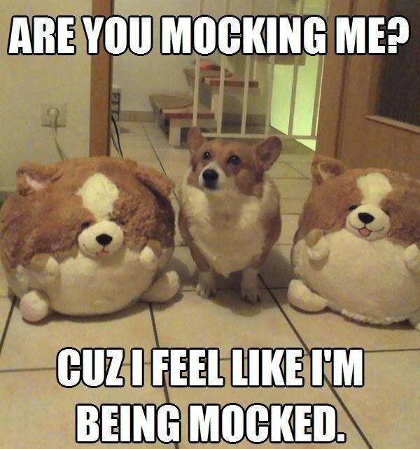 Are you mocking me 