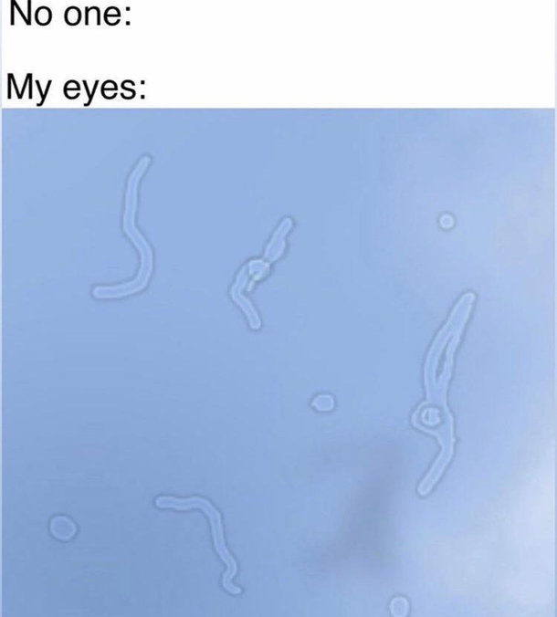 Are you seeing this