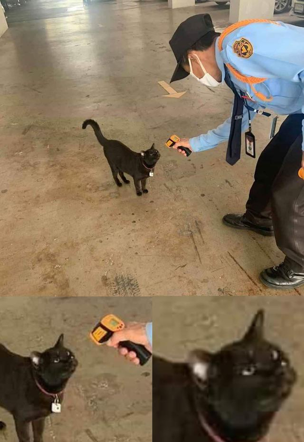 Are you seriously doing this officer