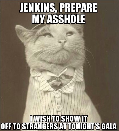 Aristocats hosting an evening get together