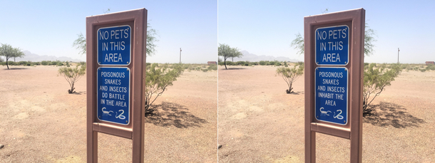 Arizona double take