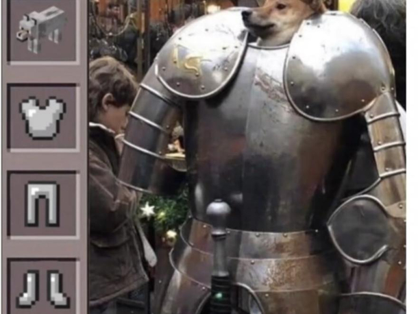Armor dog